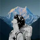 stiti81