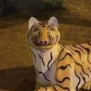 zhyr_