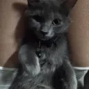 Аватар zerotwo_franxz