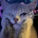 zeinov