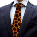 ethan8911
