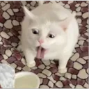 dizzy.exe8941