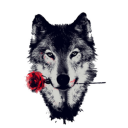 mansdrinkonly#1954's avatar