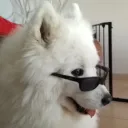 tbvns
