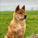 arcsplash#5660's avatar