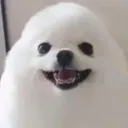 eraayhd