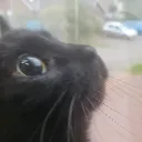 justthat0neguy avatar