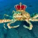 thekingcrab32