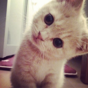 dobryziomek12214#4953's avatar