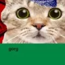 gorgthe4th3576
