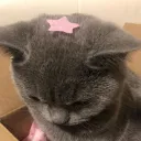mya2kawaii