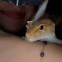 avatar 𝓻𝓪𝔂𝔂