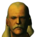 1ocelot