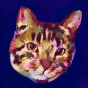 skycatminepokie