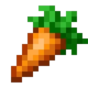 thelivingcarrot