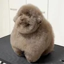 ebuchiy1