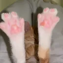 diiabeetuss
