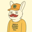 dev_rabbit