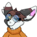 jaydinthebun
