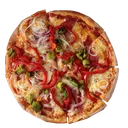 sanaponic
