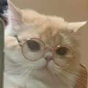 avatar Muly •ᴥ•