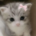 avatar UnlogicalFish