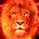 lions2209