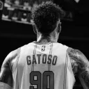 _gatoso_