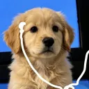 floppydoggy