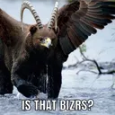 bizrs