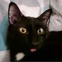 Аватар 3jkotik_