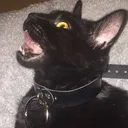 skech_