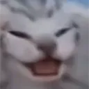 almaveleesalex