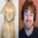 tofuandolives