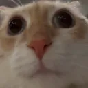 gigglemyblorp