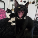 avatar Septiembre 🖤