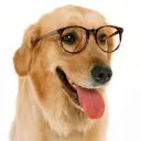 funadog