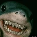 eyeofemerald