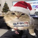 Аватар chebunan