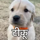 gadhwaliaatma
