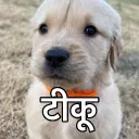 gadhwaliaatma
