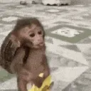 oski_14