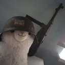 _nyja