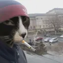 ngritorico