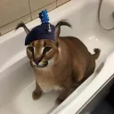 pcrobbie