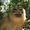 bussysussy1