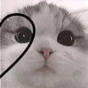freeb4ck