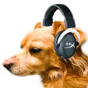 dawgsgaming