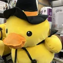 .ducklan