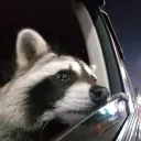 kgm664